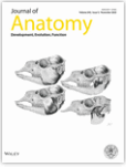 Journal of Anatomy