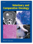 Veterinary and Comparative Oncology