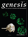 Genesis